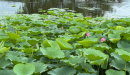 屏幕截图 2025-07-09 155902.png